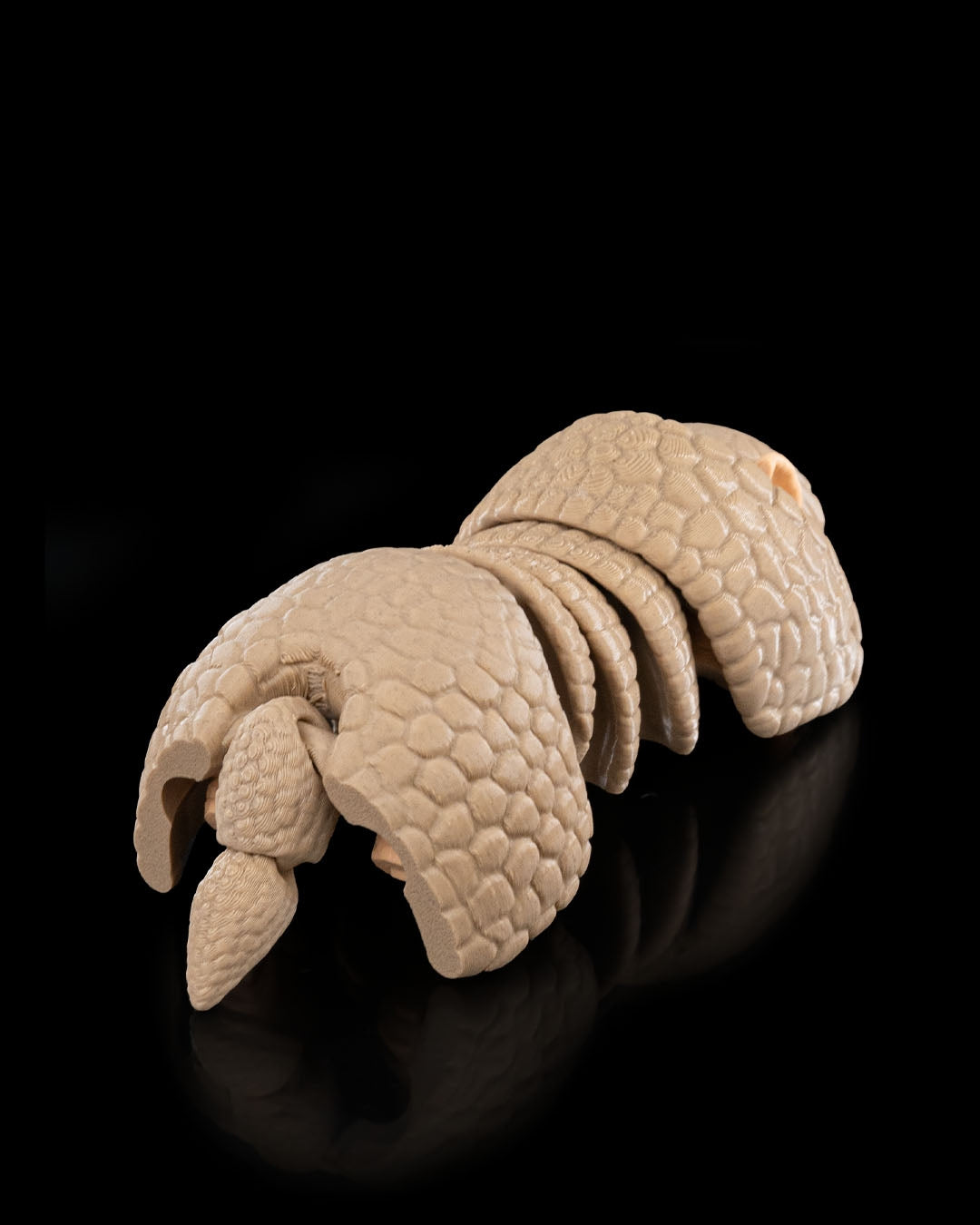 Flexi Armadillo