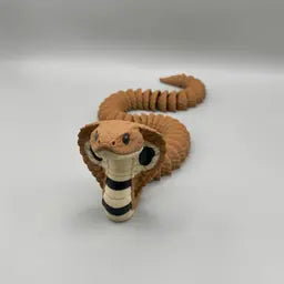 Cobra snake