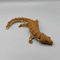 Earless Monitor Lizard