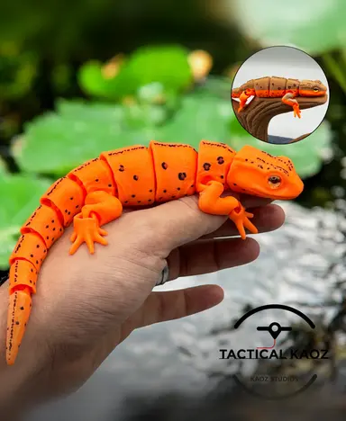 Eastern Red Spotted Newt