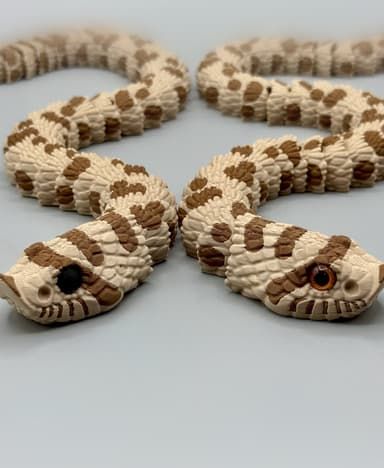 Hognose Snake
