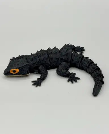 Red-Eyed Crocodile Skink