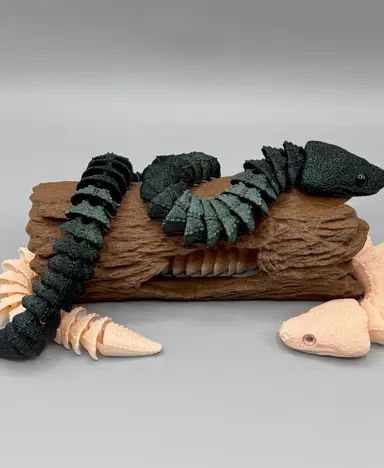 Xenodermus / Dragon Snake