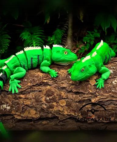 Iguana