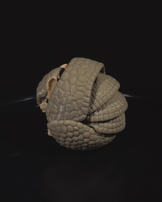 Flexi Armadillo
