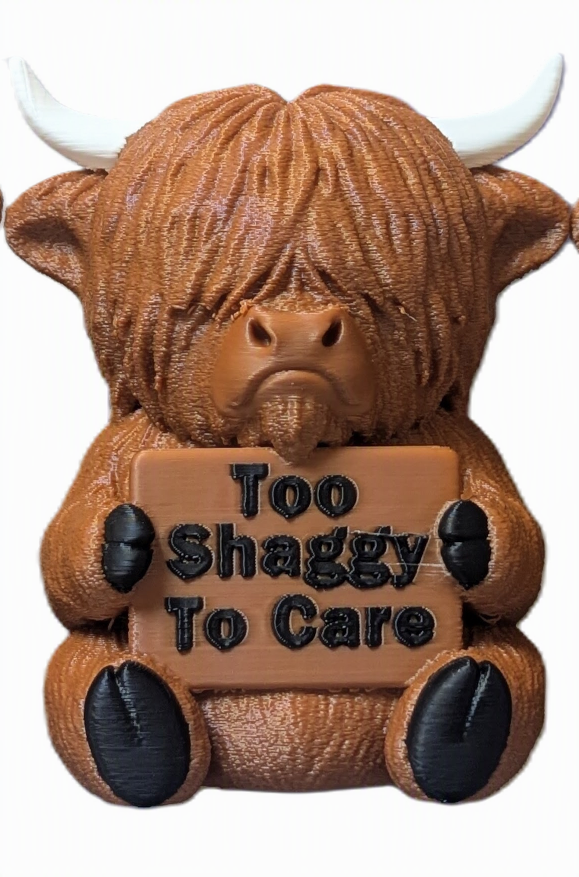 Sassy Highland Cow