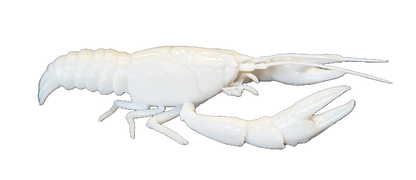 Pro Mount Walking Crawfish 4in