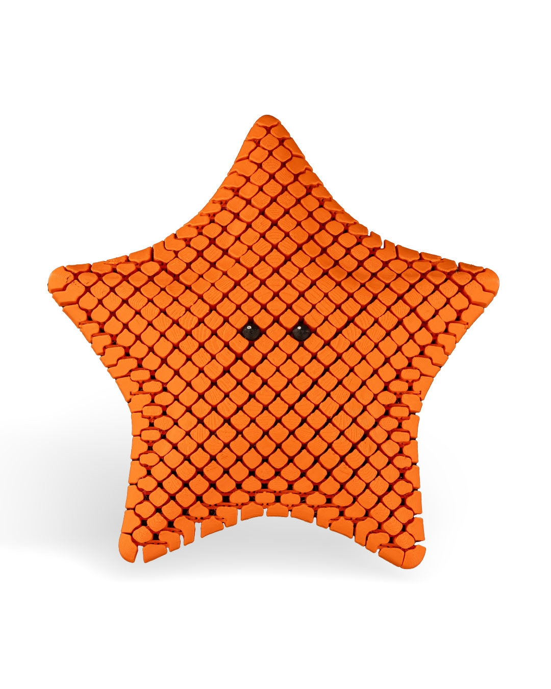 Betsie, the Bat Sea Starfish