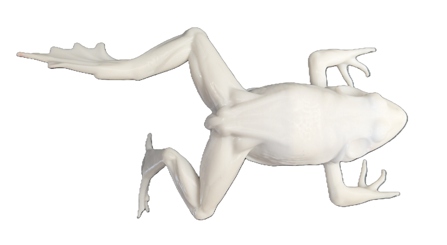 Pro Mount Jumping Frog 6in