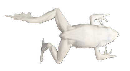 Pro Mount Jumping Frog 6in
