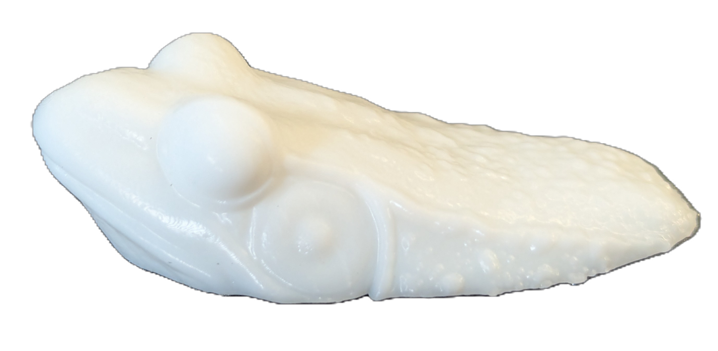 Pro Mount Bullfrog Surfacing 2-1/2in