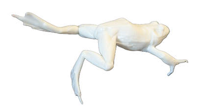 Pro Mount Jumping Frog 6in