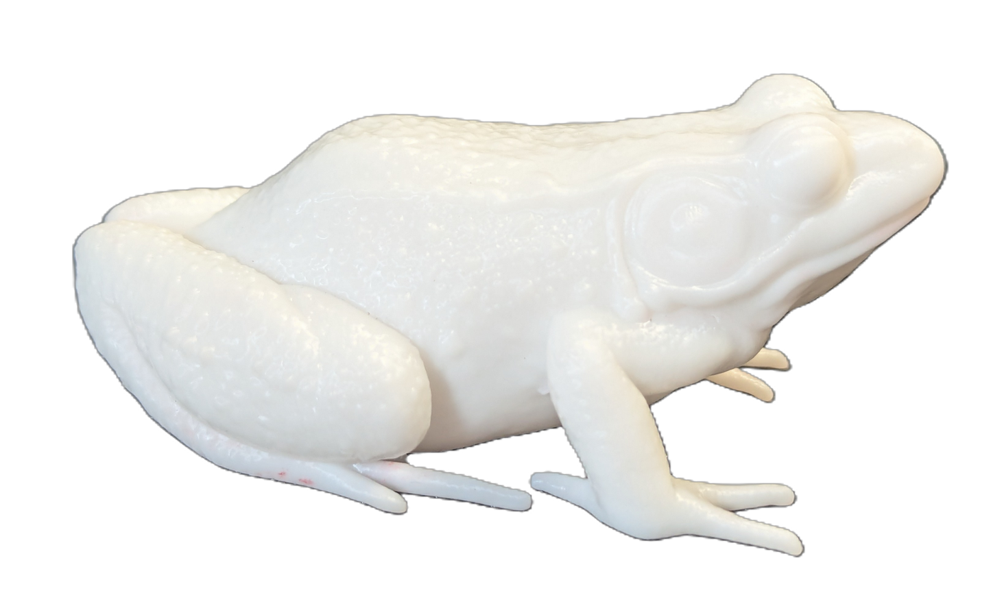 Pro Mount Bullfrog Sitting 3-3/8"