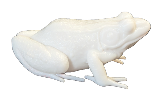 Pro Mount Bullfrog Sitting 3-3/8"