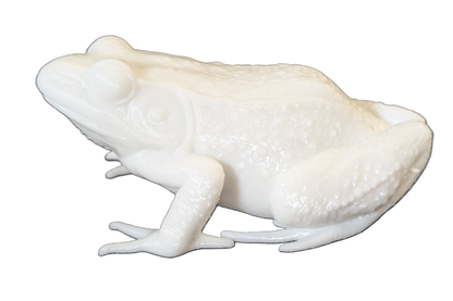 Pro Mount Bullfrog Sitting 4-1/2in