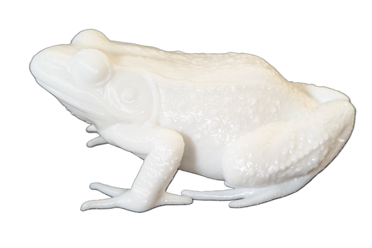 Pro Mount Bullfrog Sitting 4-1/2in