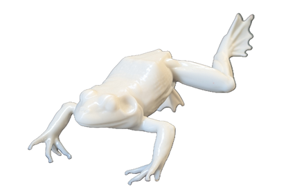 Pro Mount Jumping Frog 6in