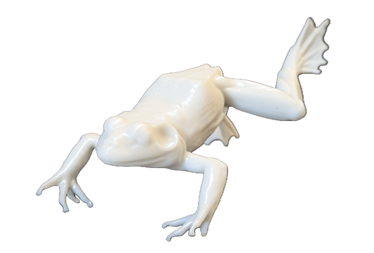 Pro Mount Jumping Frog 6in