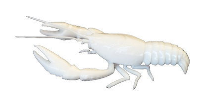 Pro Mount Walking Crawfish 4in