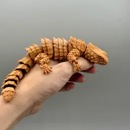 Armadillo Girdled Lizards