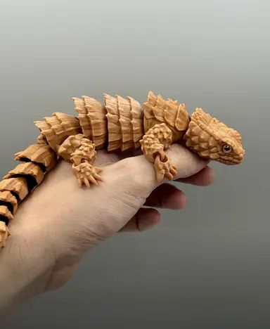 Armadillo Girdled Lizards