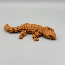 Armadillo Girdled Lizards