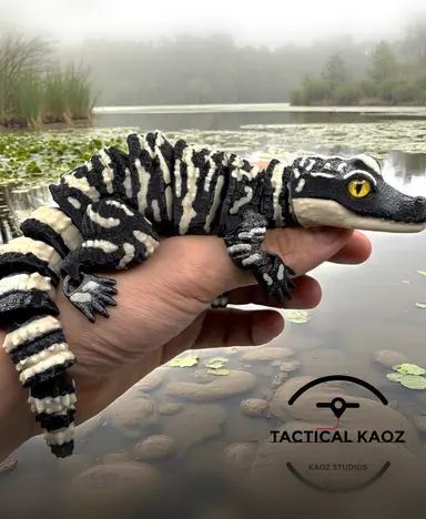 Baby Alligator