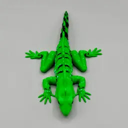 Basilisk Lizard
