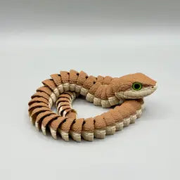 Boomslang snake