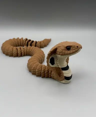 Cobra snake