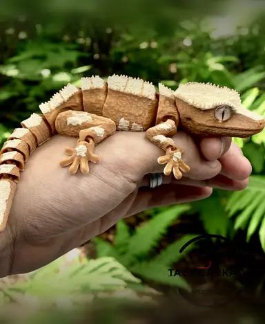 Crested Gecko
