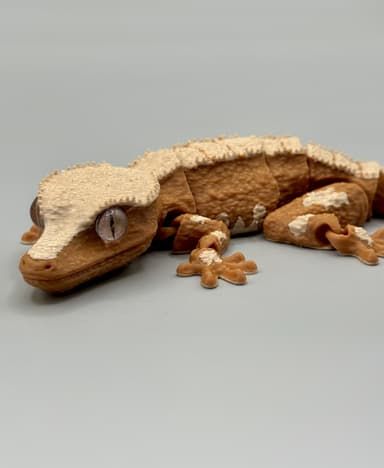 Crested Gecko