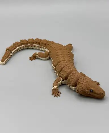Earless Monitor Lizard