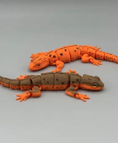 Eastern Red Spotted Newt