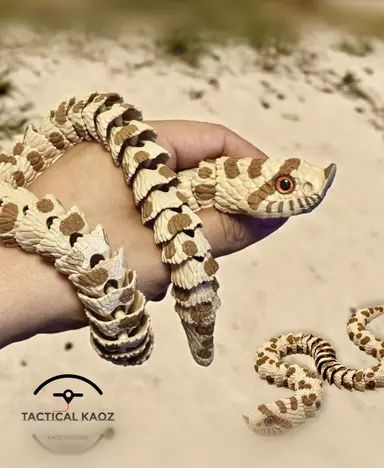 Hognose Snake