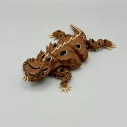 Horned Lizard