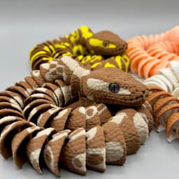 Ball Python