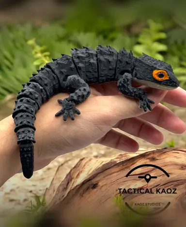 Red-Eyed Crocodile Skink