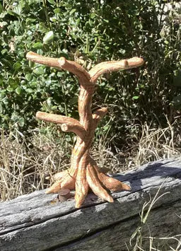 Reptile Display Stand