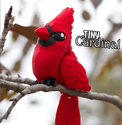 Cardinal
