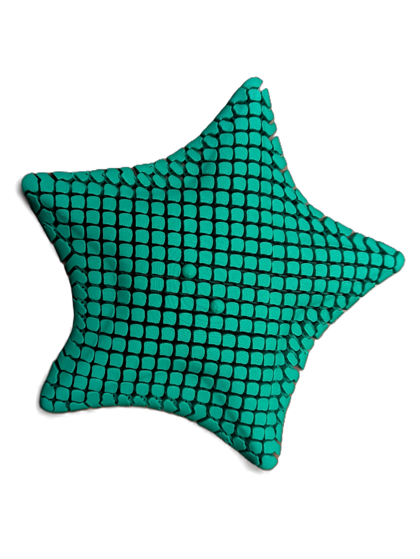 Betsie, the Bat Sea Starfish