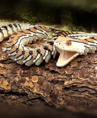 Strike Rattlesnake