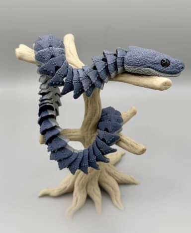 Xenodermus / Dragon Snake