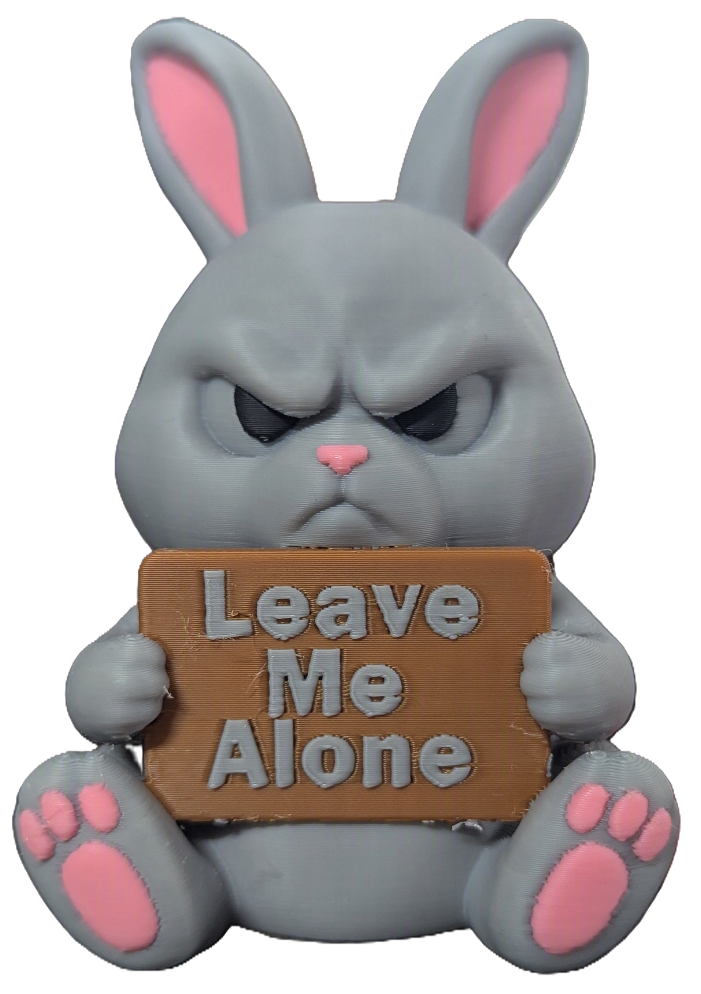 Sassy Bunny