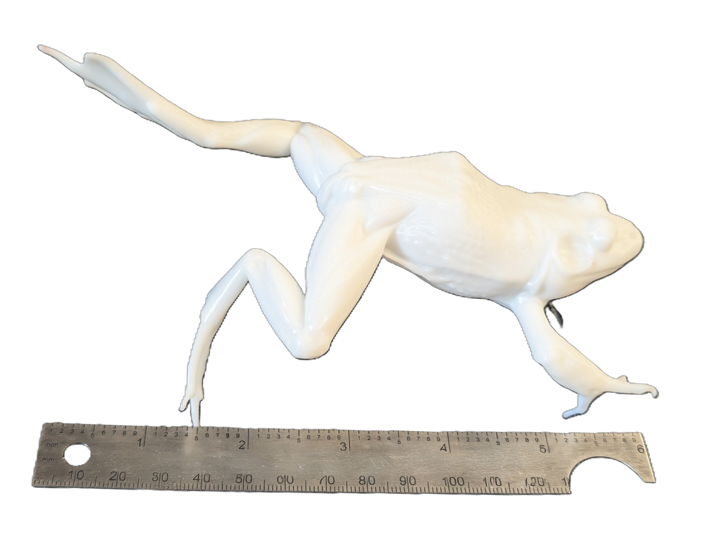 Pro Mount Jumping Frog 6in