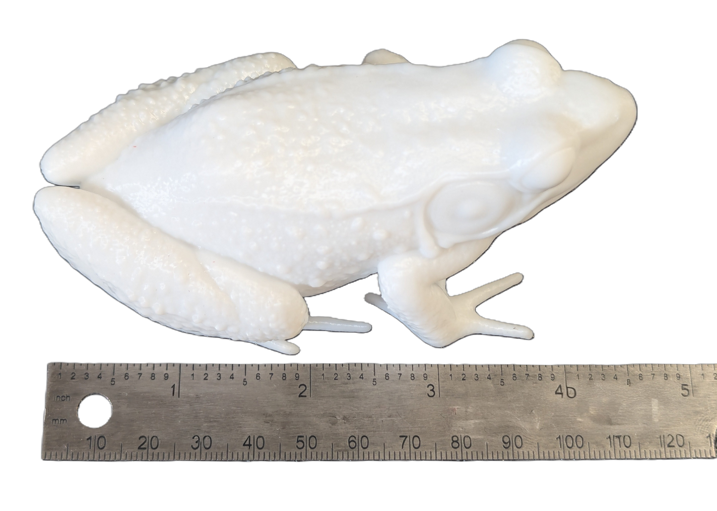 Pro Mount Bullfrog Sitting 4-1/2in