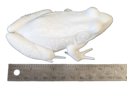 Pro Mount Bullfrog Sitting 4-1/2in