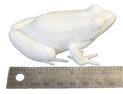 Pro Mount Bullfrog Sitting 3-3/8"