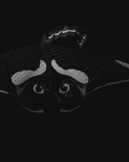 Manny, the Manta Ray