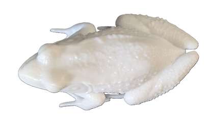 Pro Mount Bullfrog Sitting 4-1/2in